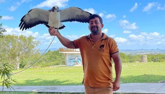 parque-dos-falcoes