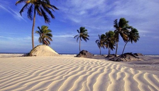 Mangue Seco img 001